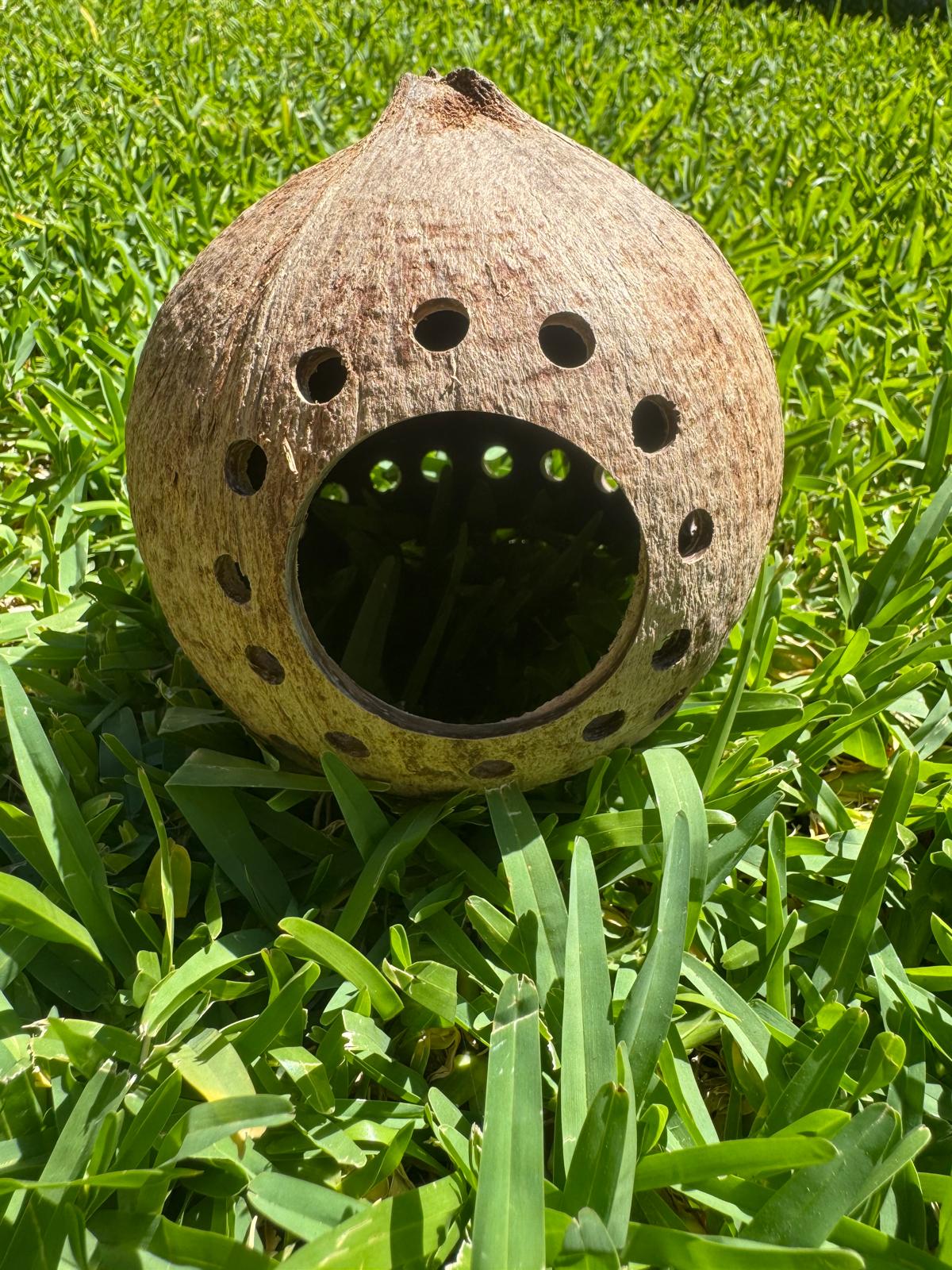 Transform your aquarium into a thriving ecosystem with this sustainably sourced coconut shell cave. Designed for both function and aesthetics, it serves as a secure nesting refuge while encouraging natural foraging when you hide sinking pellets inside. The strategically drilled perforations maintain optimal water circulation and create ideal anchor points for live mosses and aquatic plants, establishing an authentic riverbed environment. Perfect for fish seeking shelter and enrichment in one elegant, eco-co