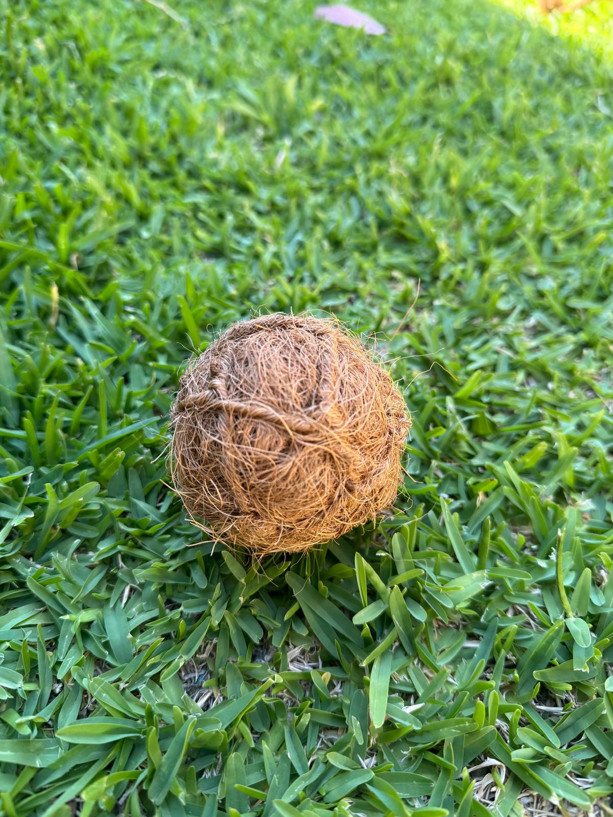 Hand-wound from dense coconut fiber, these dental spheres deliver durability that outlasts conventional tennis balls. The naturally textured coir surface works as an effective scrubber, penetrating between teeth and along gum lines to remove buildup during play and chewing sessions. Engineered for dogs of all sizes, the firm core provides satisfying resistance without compromising safety. 