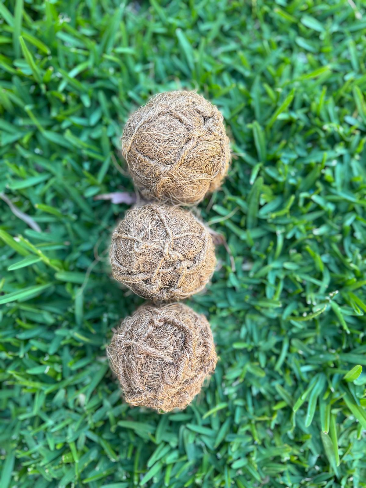 Hand-wound from dense coconut fiber, these dental spheres deliver durability that outlasts conventional tennis balls. The naturally textured coir surface works as an effective scrubber, penetrating between teeth and along gum lines to remove buildup during play and chewing sessions. Engineered for dogs of all sizes, the firm core provides satisfying resistance without compromising safety. 