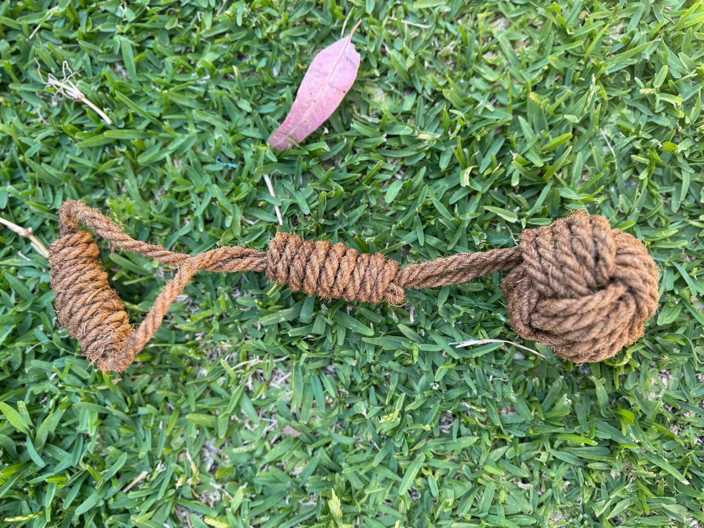 The Power Chewer Pack - coir tug rope, wood log and dental ball