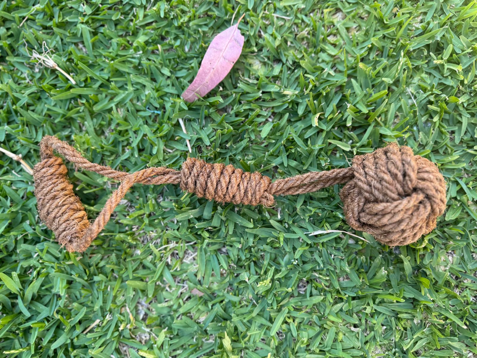 The Power Chewer Pack - coir tug rope, wood log and dental ball